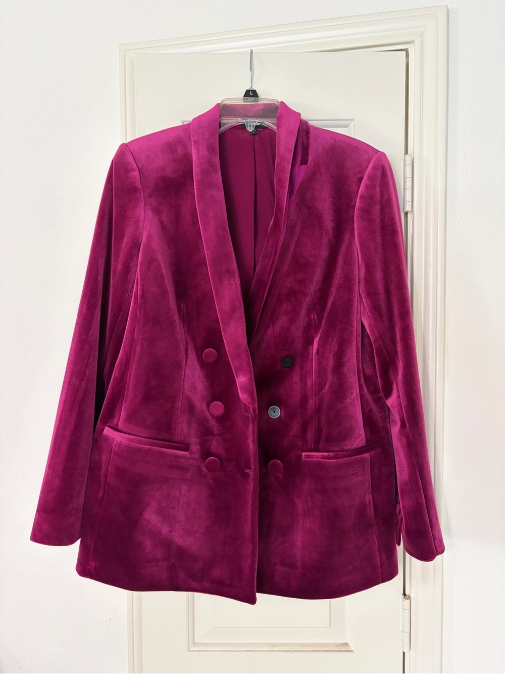 Express Matching Fuchsia Velvet Double-Breasted Blazer (L) & Pants 12R